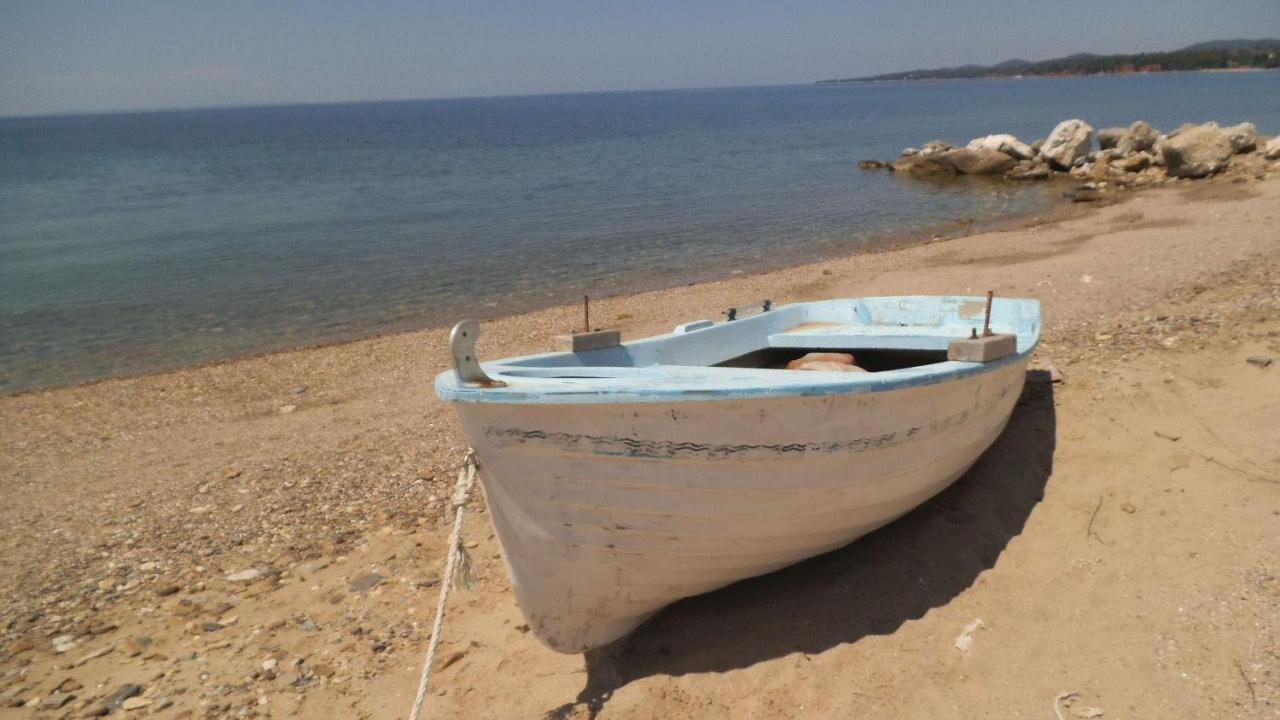 Finikas Garden Beach Resort Nikiti Extérieur photo
